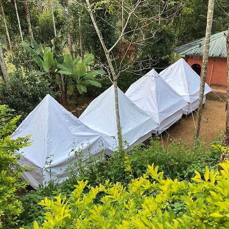 Wayanad Plantation Tent Stay And Swimming Pool Exterior photo