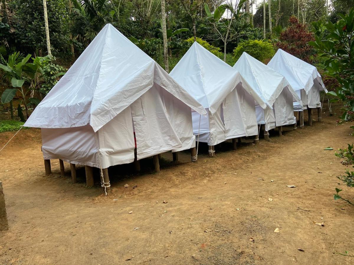 Wayanad Plantation Tent Stay And Swimming Pool Exterior photo