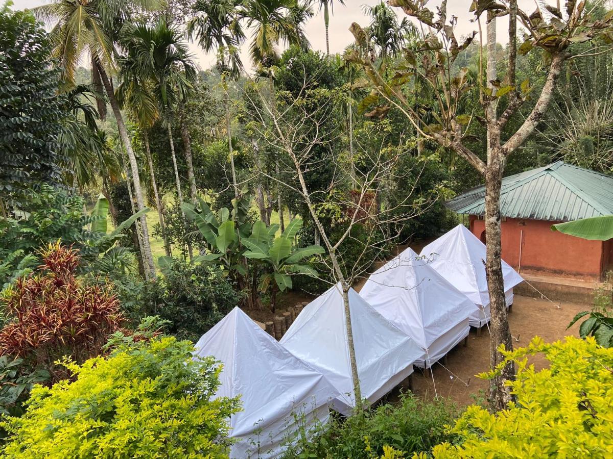 Wayanad Plantation Tent Stay And Swimming Pool Exterior photo