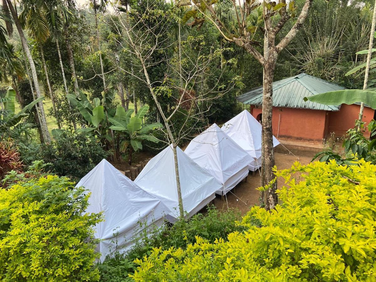 Wayanad Plantation Tent Stay And Swimming Pool Exterior photo